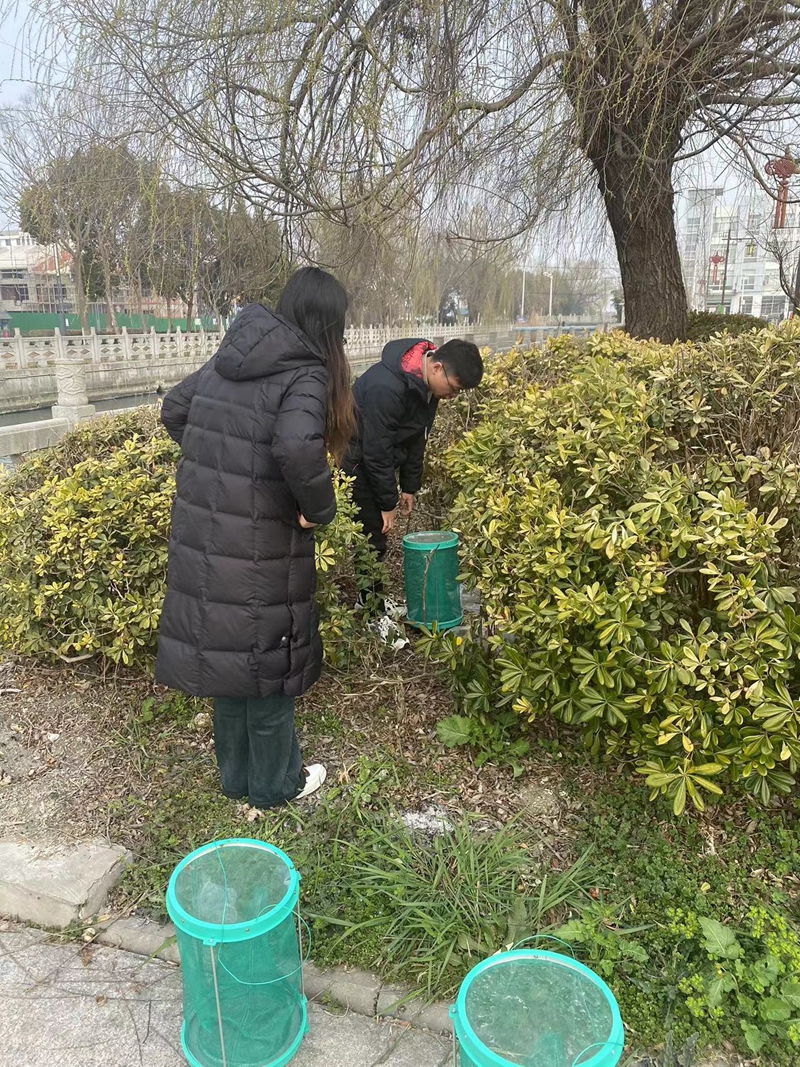 苍蝇监测1.jpg