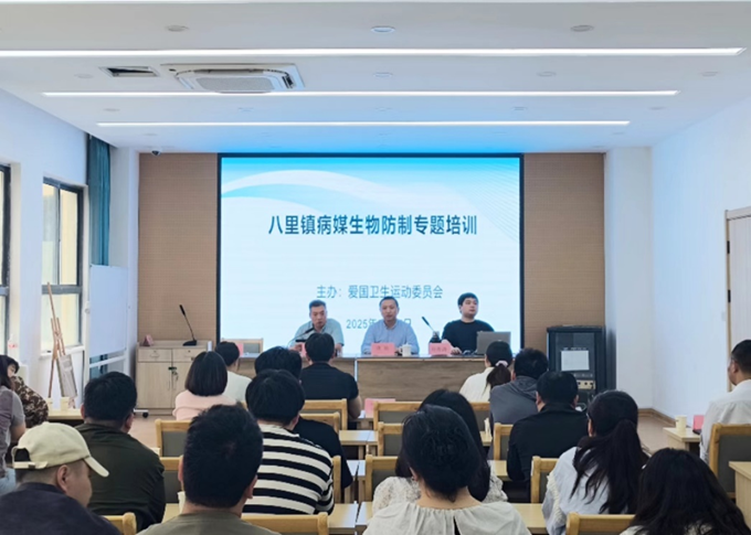 图片11.png